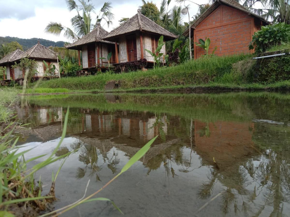 Puri Sunny Camp Villa Munduk Buitenkant foto