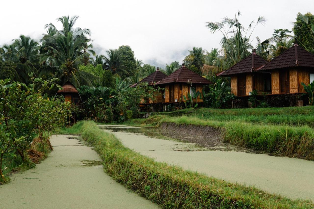 Puri Sunny Camp Villa Munduk Buitenkant foto