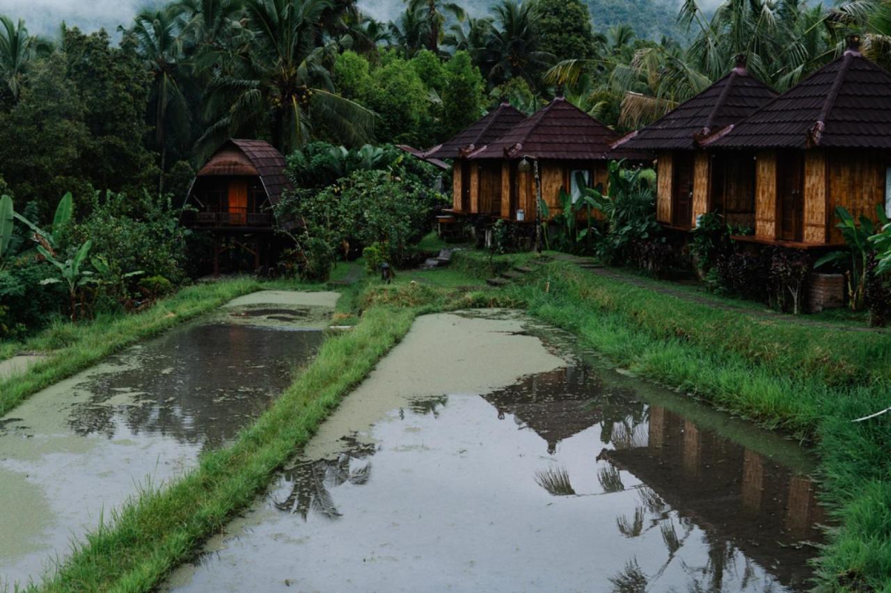 Puri Sunny Camp Villa Munduk Buitenkant foto