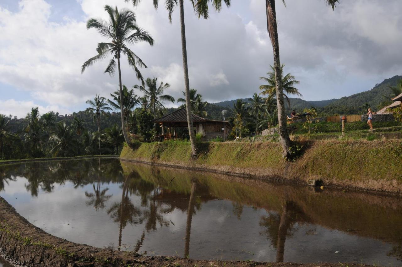 Puri Sunny Camp Villa Munduk Buitenkant foto