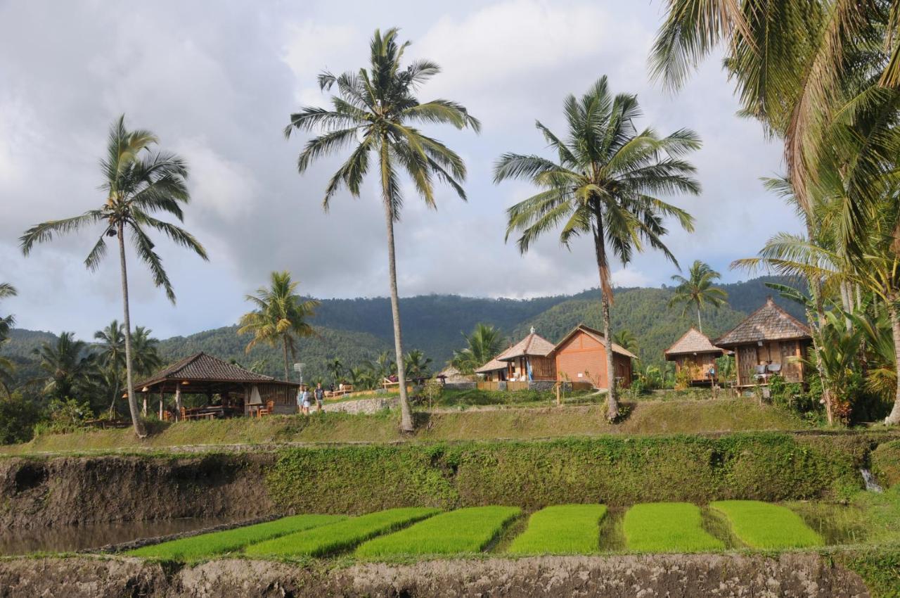 Puri Sunny Camp Villa Munduk Buitenkant foto