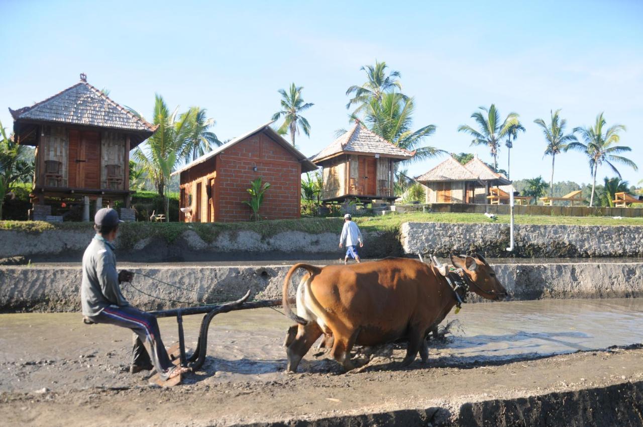 Puri Sunny Camp Villa Munduk Buitenkant foto