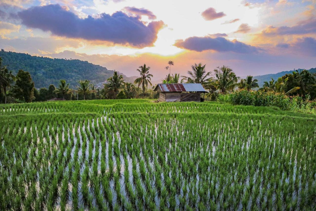 Puri Sunny Camp Villa Munduk Buitenkant foto